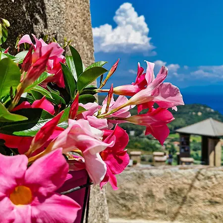 Apartamento Bilo Terrazza Rio Elba *