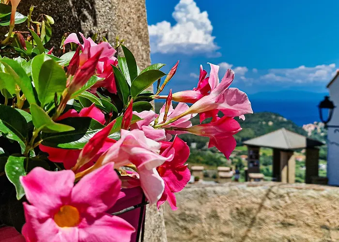 Apartamento Bilo Terrazza Rio Elba *